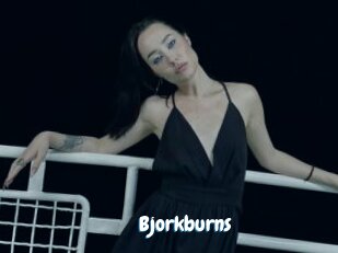 Bjorkburns