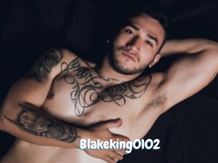 blakeking0102 Coquine Avenue