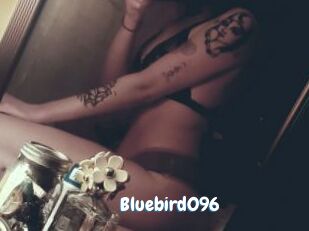 Bluebird096