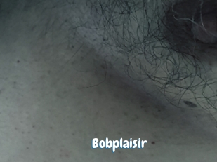 Bobplaisir