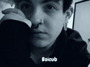 Boicub