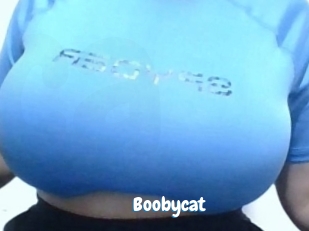 Boobycat
