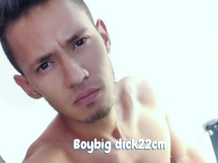 Boybig_dick22cm