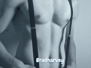 Bradharvey