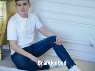 Brandonbud