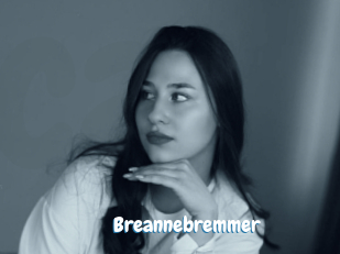 Breannebremmer