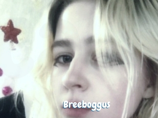 Breeboggus