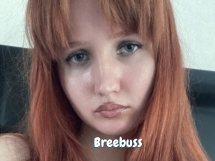 Breebuss