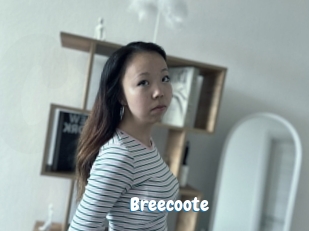 Breecoote