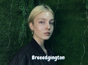 breeedgington Coquine Avenue