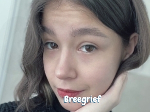 Breegrief