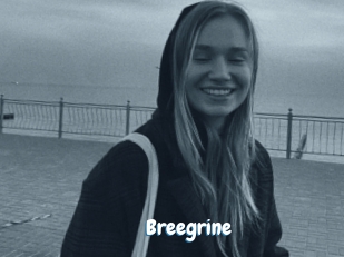 Breegrine