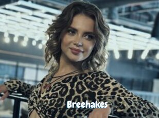 Breehakes