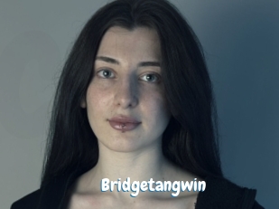 Bridgetangwin