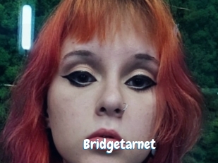 Bridgetarnet