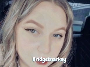 Bridgetharkey