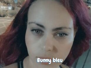 Bunny_bleu