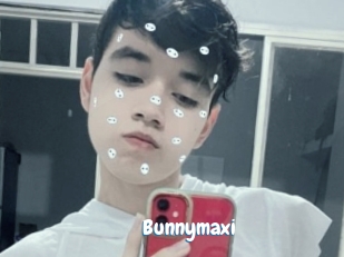 Bunnymaxi