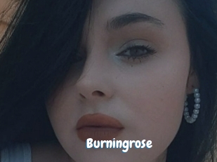 Burningrose
