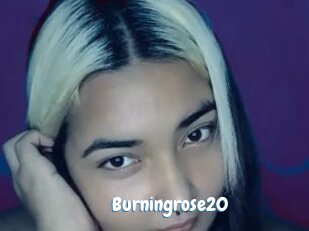 burningrose20 Coquine Avenue
