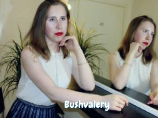 Bushvalery
