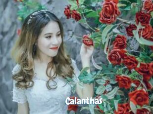 Calanthas