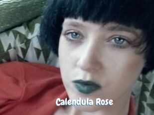 Calendula_Rose