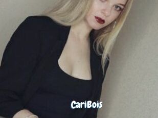 CariBois