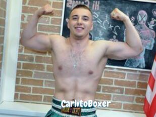 CarlitoBoxer