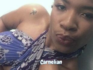Carnelian Coquine Avenue