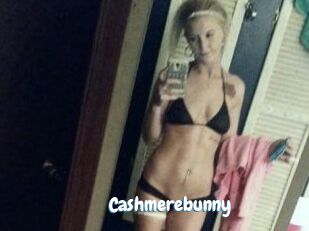 Cashmerebunny