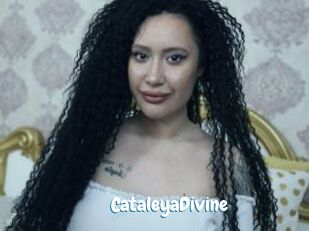 CataleyaDivine Coquine Avenue