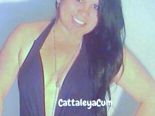CattaleyaCum