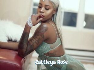 Cattleya_Rose Coquine Avenue