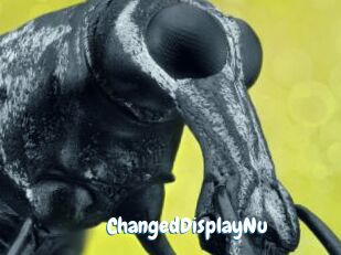 ChangedDisplayNu