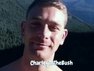CharleyInTheBush Coquine Avenue