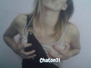 Chaton31