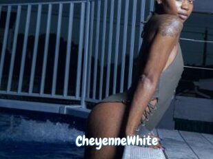 Cheyenne_White Coquine Avenue