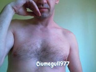Ciumegul1977