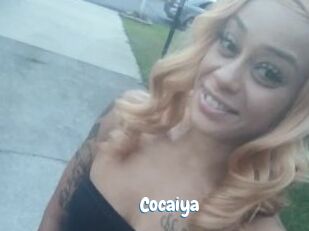 Cocaiya Coquine Avenue
