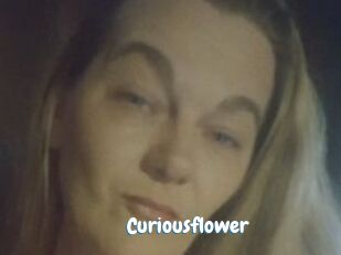 Curiousflower
