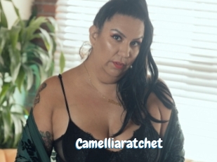 Camelliaratchet