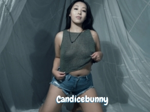 Candicebunny