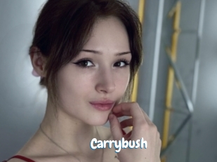 Carrybush