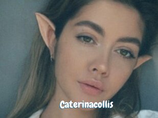 caterinacollis Coquine Avenue