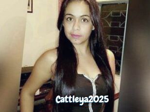 Cattleya2025