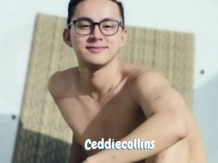 ceddiecollins Coquine Avenue