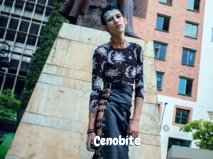 cenobite Coquine Avenue