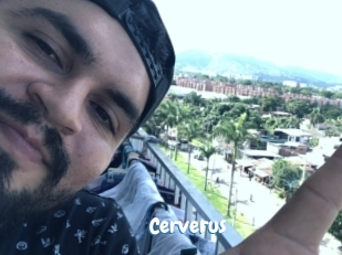 Cerverus