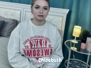 Chloebush